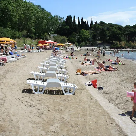 Bulovic In The Very Center Of